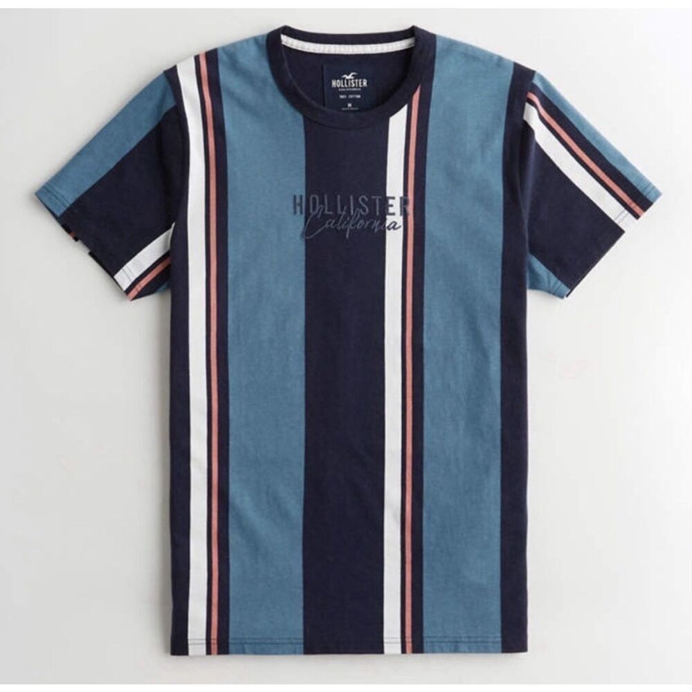 Hollister Striped Embroidered Graphic Short Sleeved Men’s T-Shirt Size Large